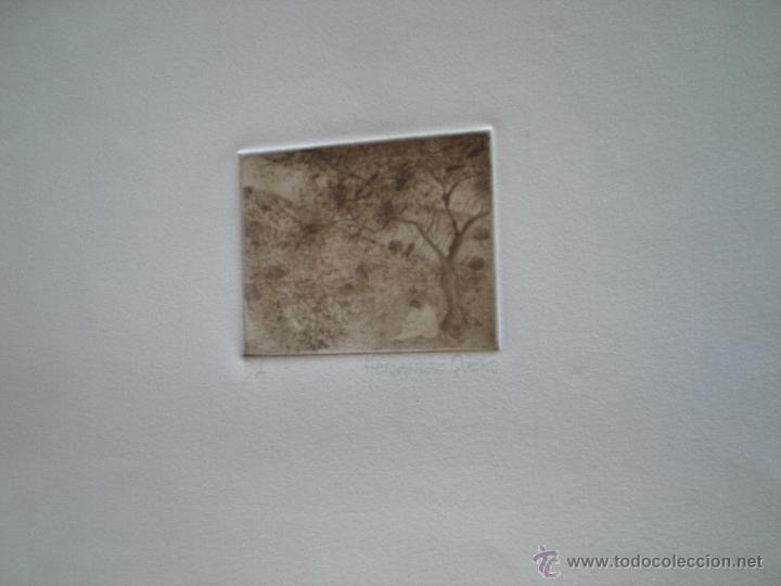 Arte: HERNANDEZ QUERO - Foto 1