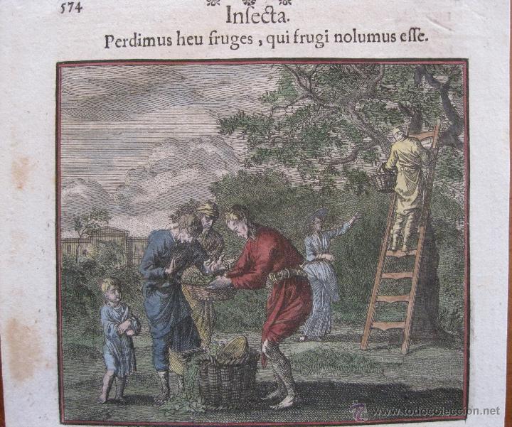 Arte: Recogida de la fruta, Santa Clara-Weigel, 1707 - Foto 2