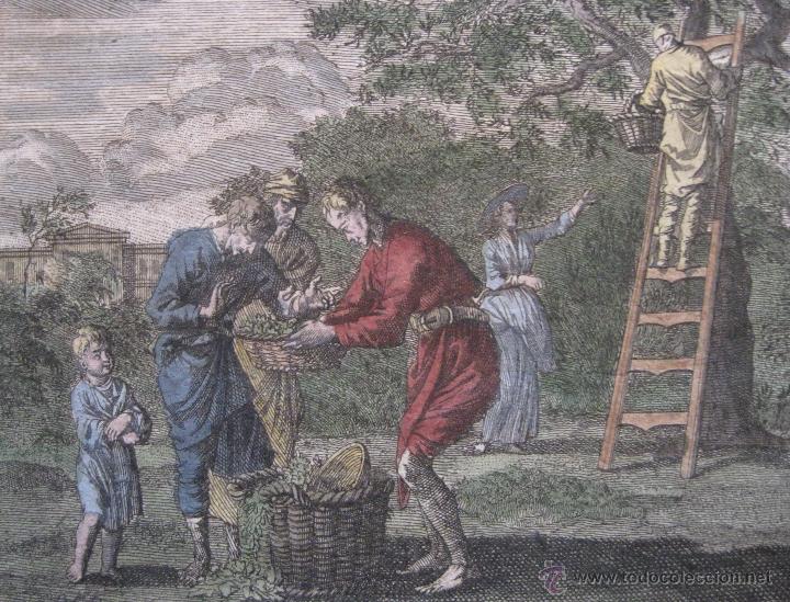 Arte: Recogida de la fruta, Santa Clara-Weigel, 1707 - Foto 3