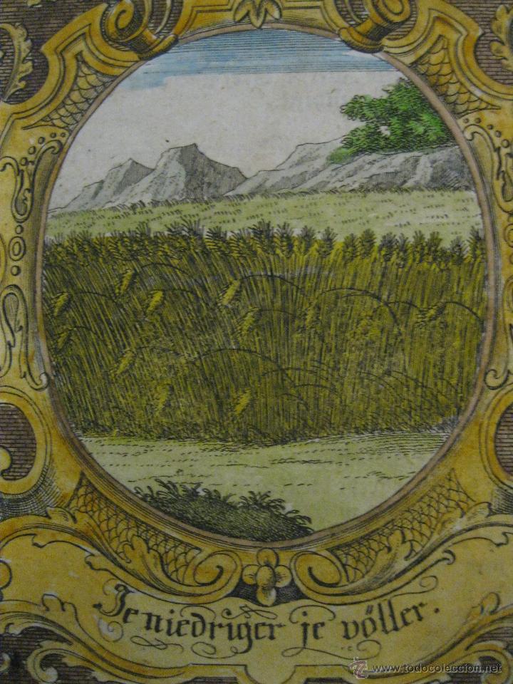Arte: Emblema barroco: La cosecha madura, 1680 - Foto 1