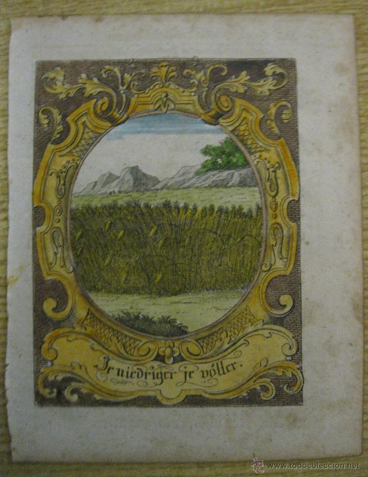 Arte: Emblema barroco: La cosecha madura, 1680 - Foto 2