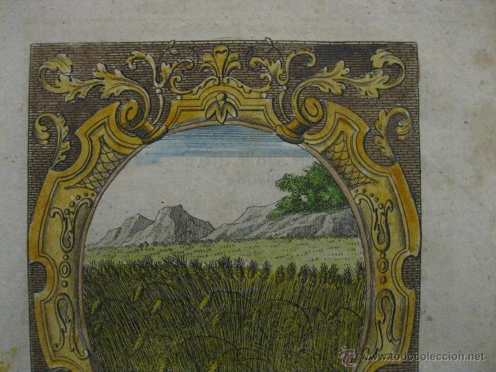 Arte: Emblema barroco: La cosecha madura, 1680 - Foto 3