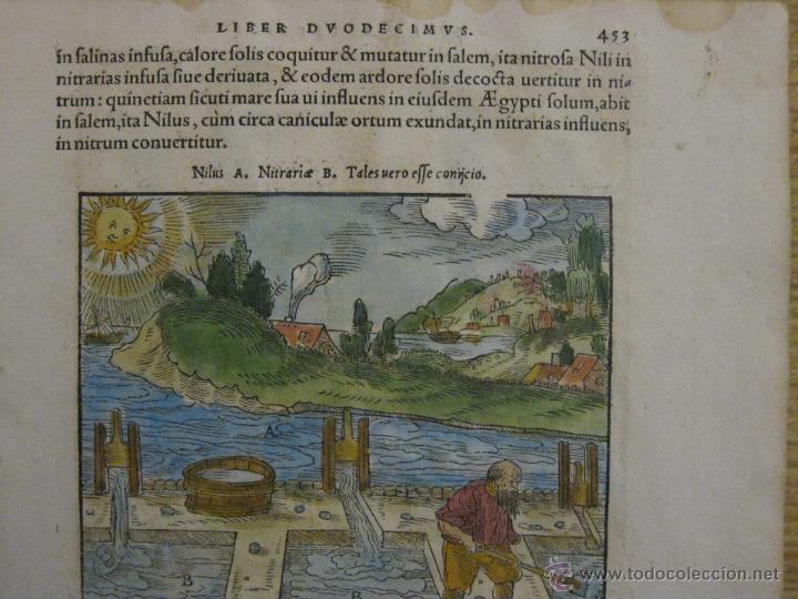 Arte: Mina medieval VII.1557.Agr&iacute;cola - Foto 3