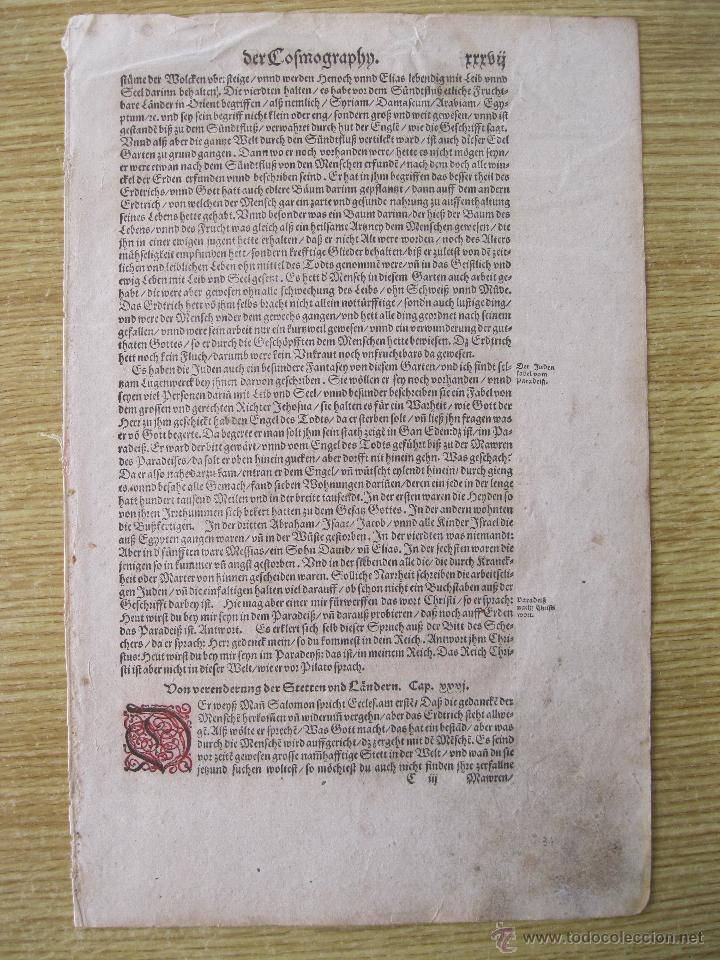Arte: Letra capitular coloreada, M&uuml;nter, 1572 - Foto 1