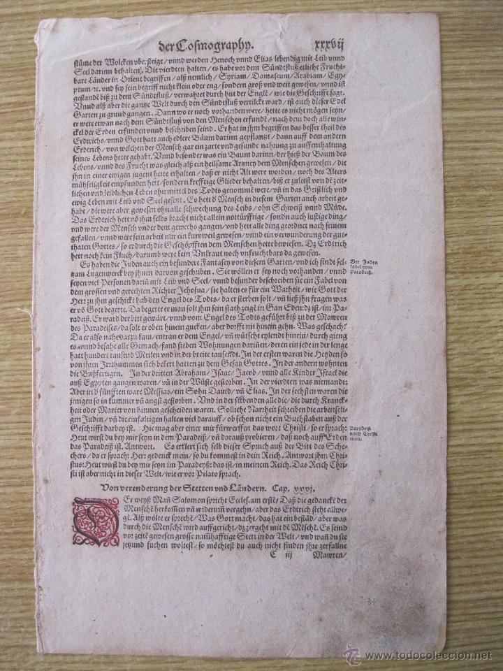 Arte: Letra capitular coloreada, M&uuml;nter, 1572 - Foto 2