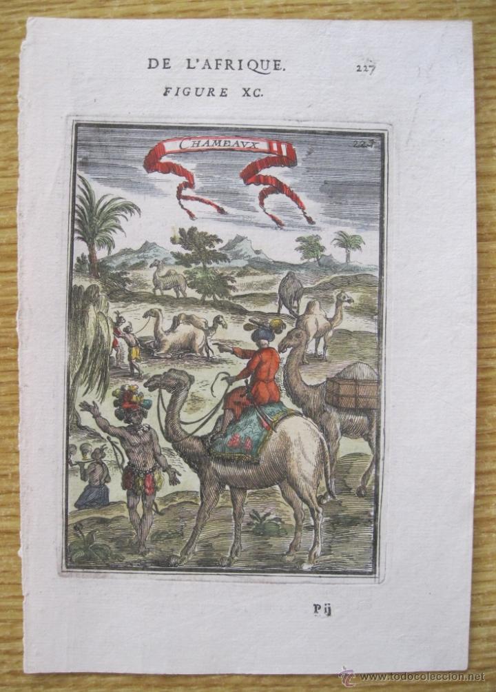Arte: Camellos africanos, 1683.Mallet - Foto 1
