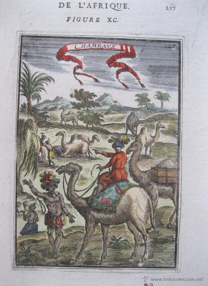 Arte: Camellos africanos, 1683.Mallet - Foto 3