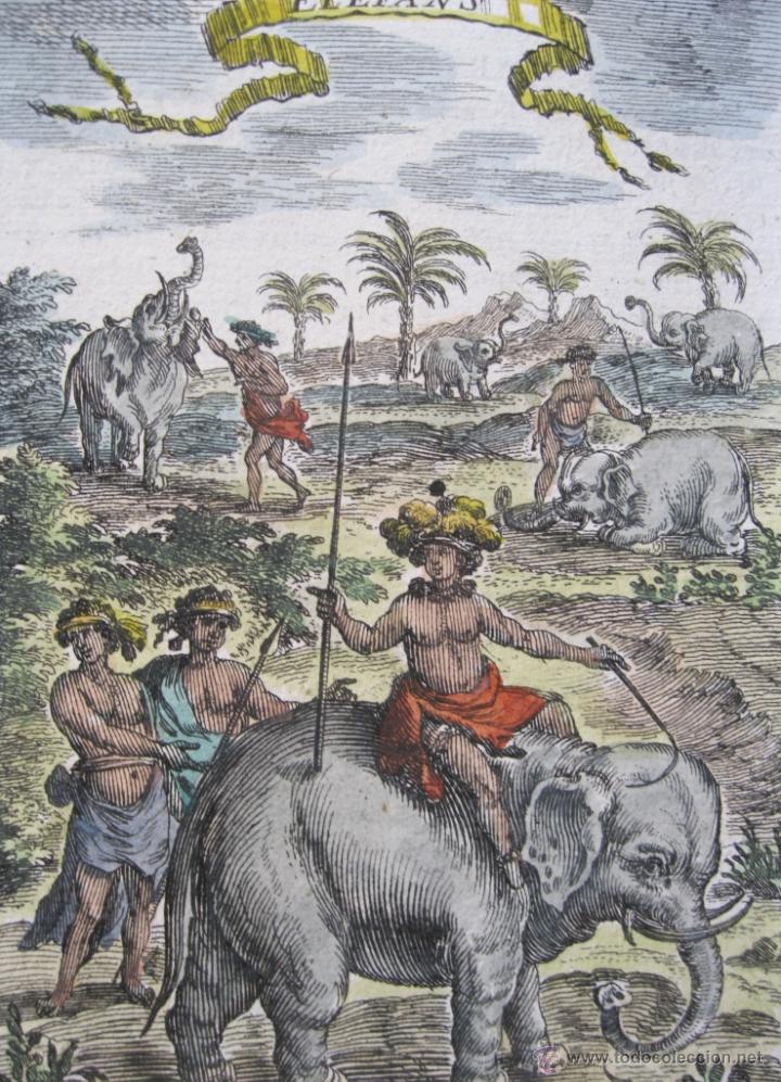 Arte: Elefantes africanos, 1683. Mallet - Foto 3