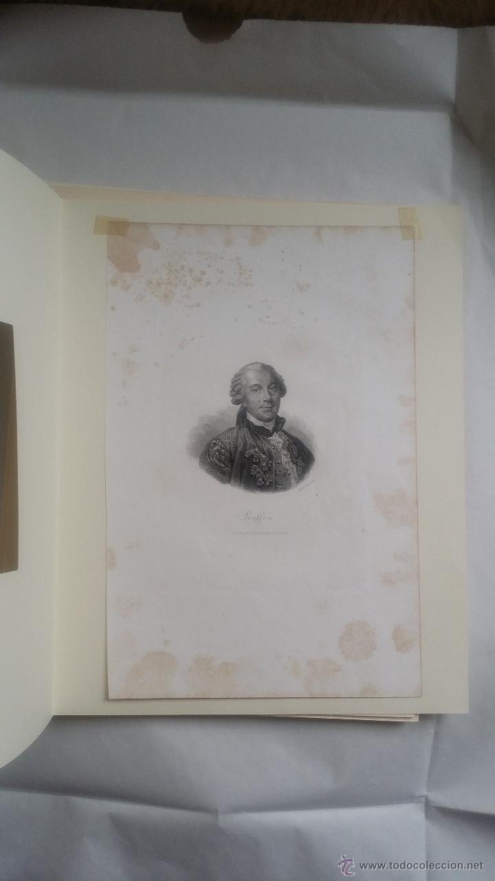 Arte: SICHLING: grabado de BUFFON, 1850 - Foto 2