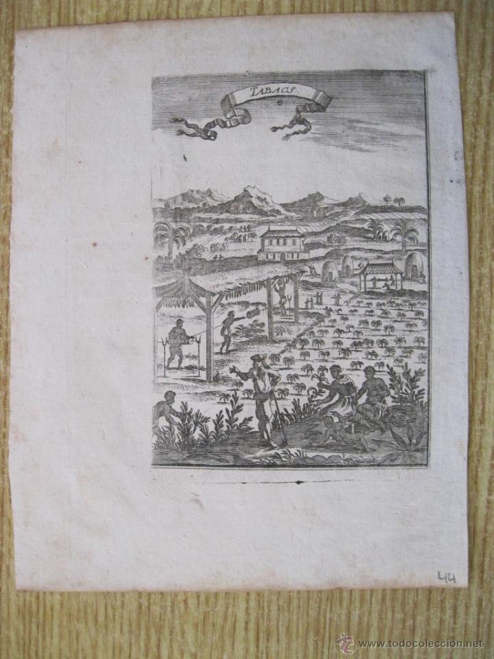 Arte: Recolecci&oacute;n de tabaco, Sudam&eacute;rica, 1700. Mallet - Foto 1