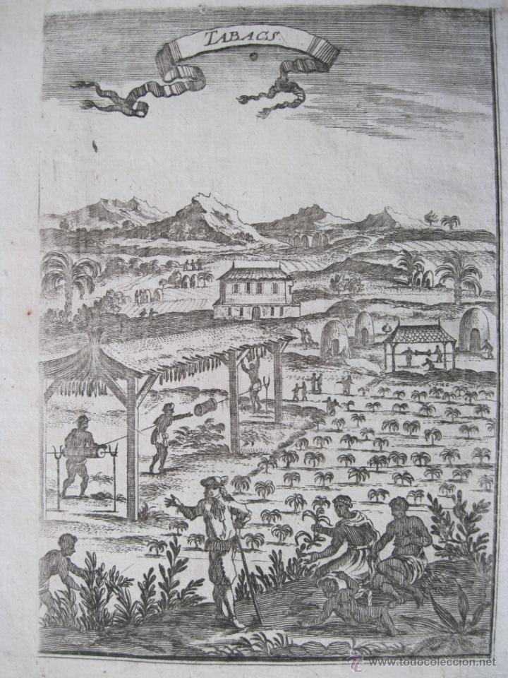 Arte: Recolecci&oacute;n de tabaco, Sudam&eacute;rica, 1700. Mallet - Foto 2