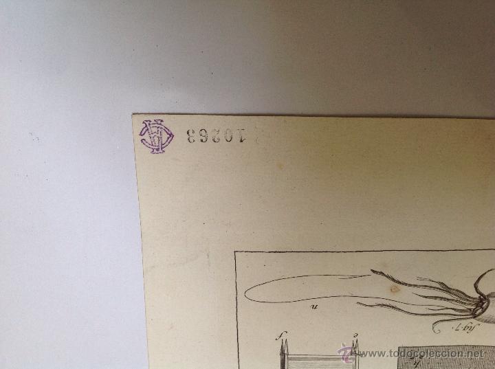 Arte: Escuela francesa SXVIII - Foto 5