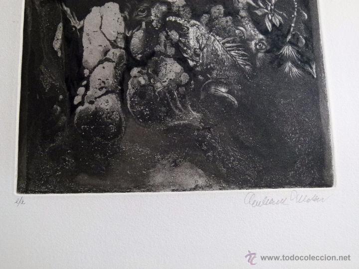 Arte: Grabado original de Eberhard Schlotter - Foto 2