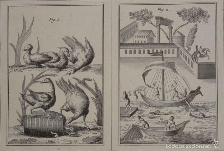 Arte: Mosaico II, 1775. Diderot/DAlembert/Bernard - Foto 3
