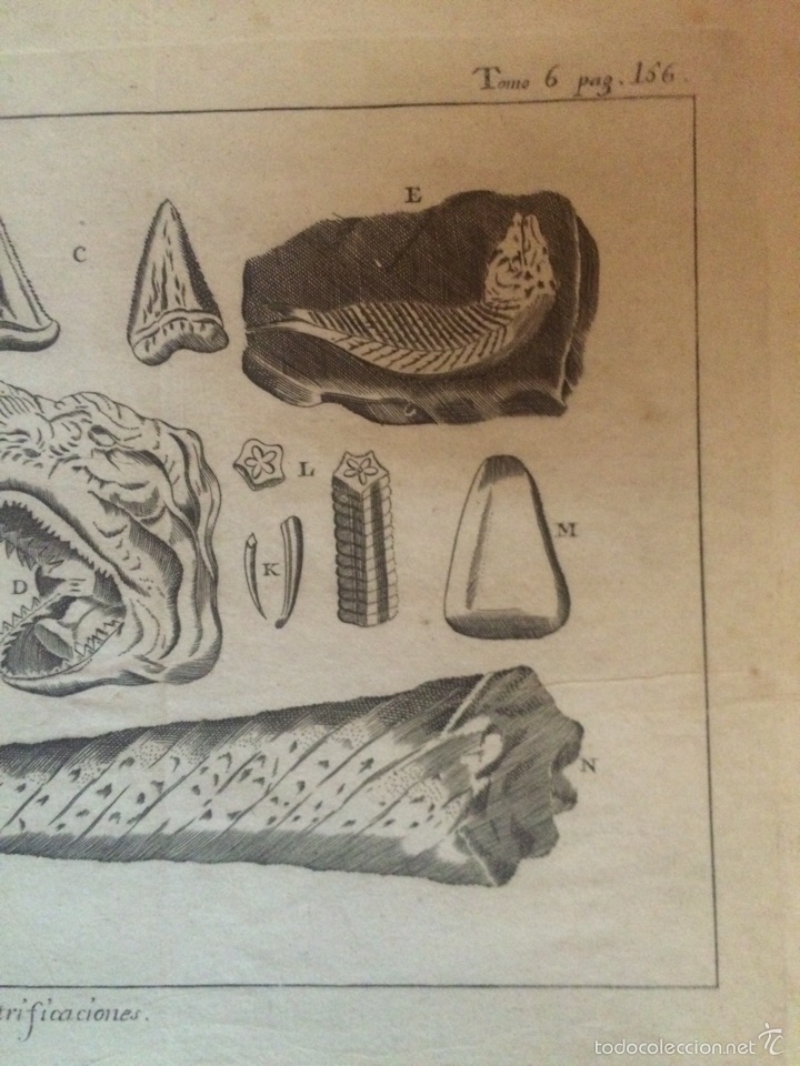 Arte: GRABADO LIBRO DE CIENCIAS SXVIII - Foto 2
