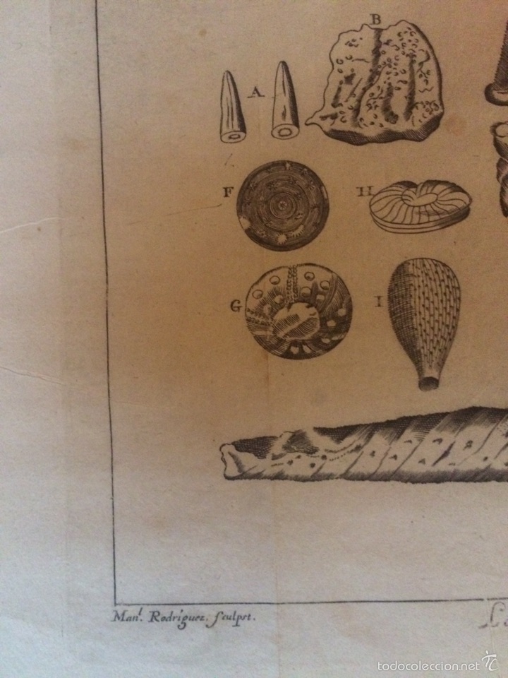 Arte: GRABADO LIBRO DE CIENCIAS SXVIII - Foto 3