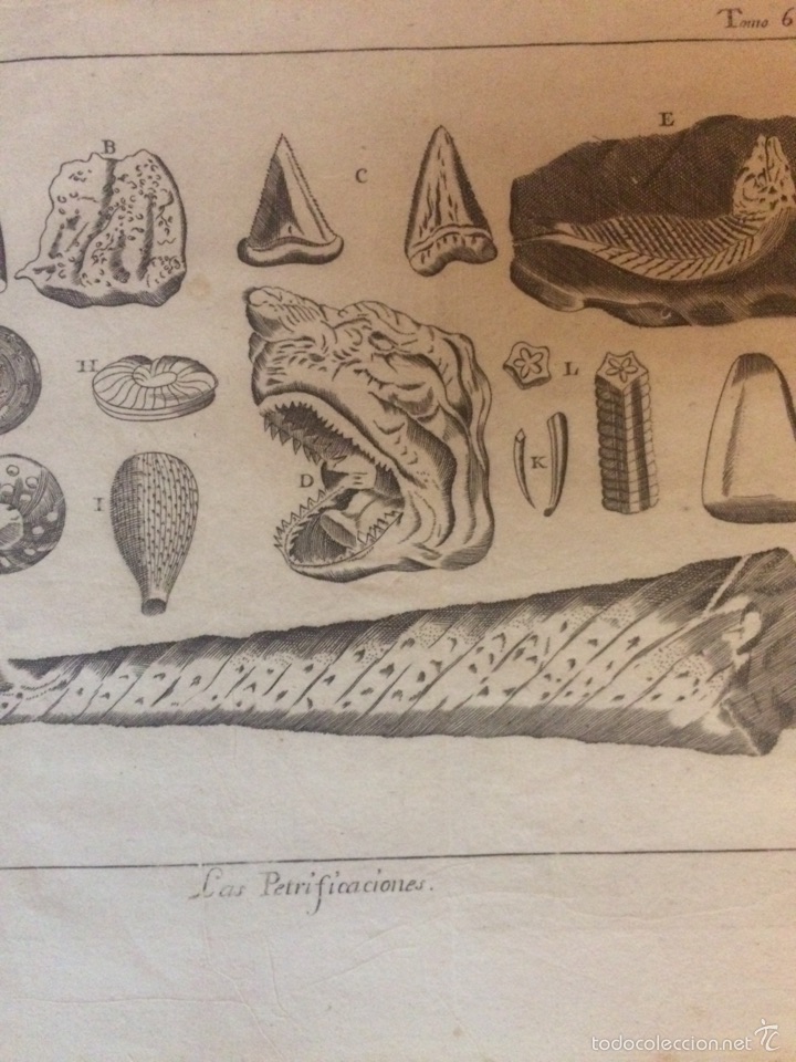 Arte: GRABADO LIBRO DE CIENCIAS SXVIII - Foto 4