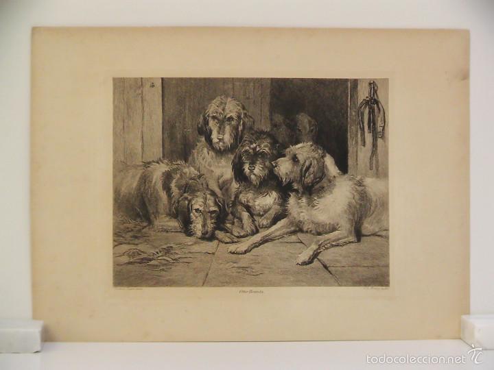 Arte: Otter Hounds - Aguafuerte 1893 - Foto 1