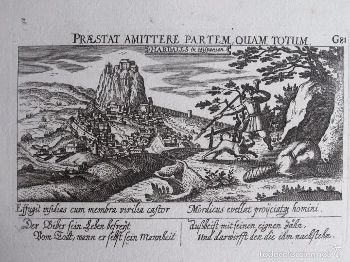 Arte: 1638- ARDALES. M&Aacute;LAGA. GRABADO ORIGINAL DE MEISNER. - Foto 2