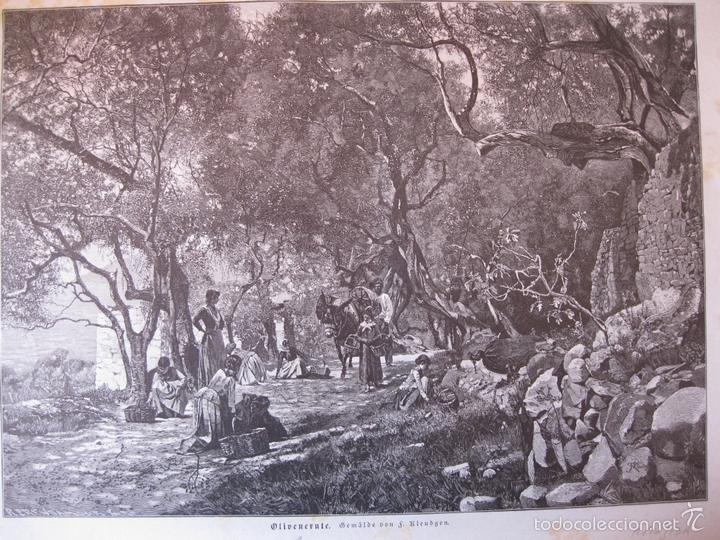 Arte: Profesiones: Recogida de la aceituna, 1887. - Foto 1