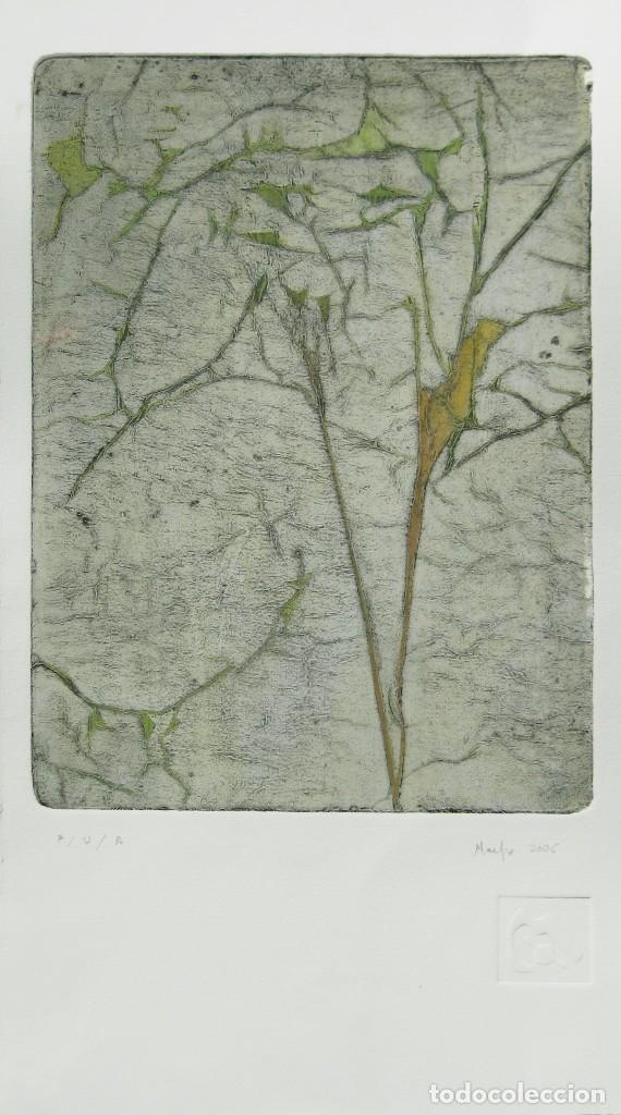 Arte: MAIFLEX- FELISA ESTEBAN - Foto 1