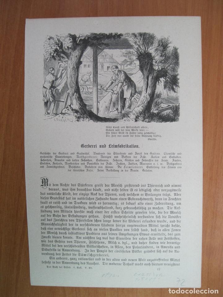 Kunst: El oficio de curtidor de pieles, 1872