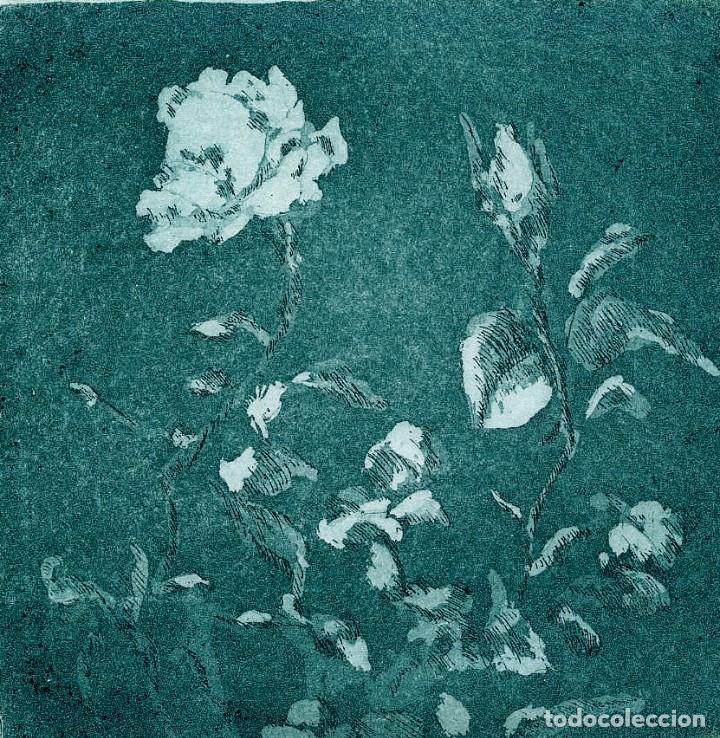 Arte: Aguatinta. An&oacute;nimo . Rosa - Foto 1