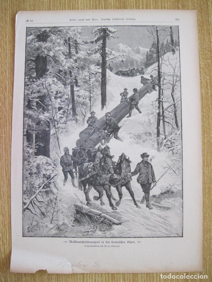 Art: Transporte de madera por una monta&ntilde;a, 1890