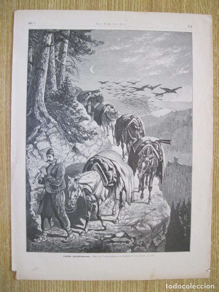 Art: Transporte con caballos por la monta&ntilde;a, 1893