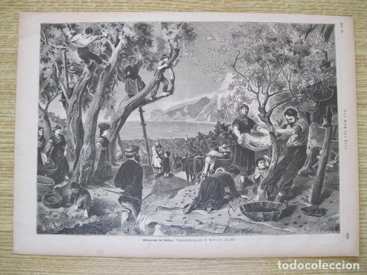 Arte: Recogida de la aceituna, 1887 - Foto 1