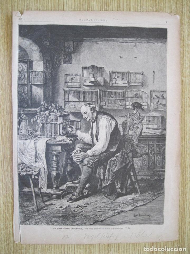 Arte: El coleccionista de p&aacute;jaros, 1887