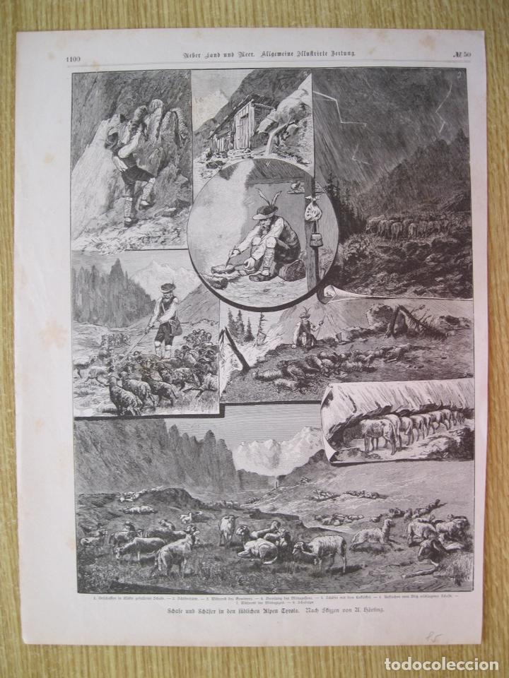 Kunst: El pastor y su reba&ntilde;o, 1885