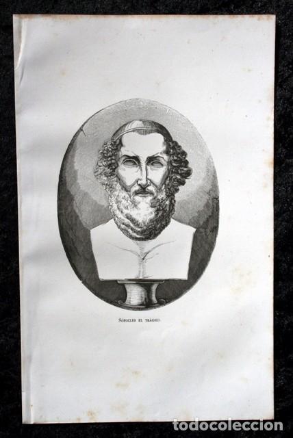 Arte: 1855 - GRABADO - SOFOCLES EL TRAGICO - 242x155mm - Foto 2