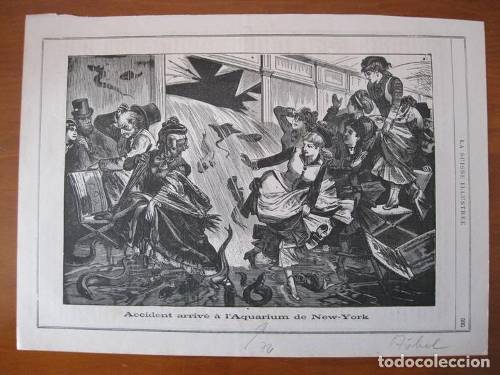 Art: Accidente en el acuario de Nueva York (EEUU), 1874