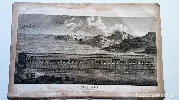 Arte: * Noahs Ark (Arca de Noa) - grabado lamina 1810 - Foto 1