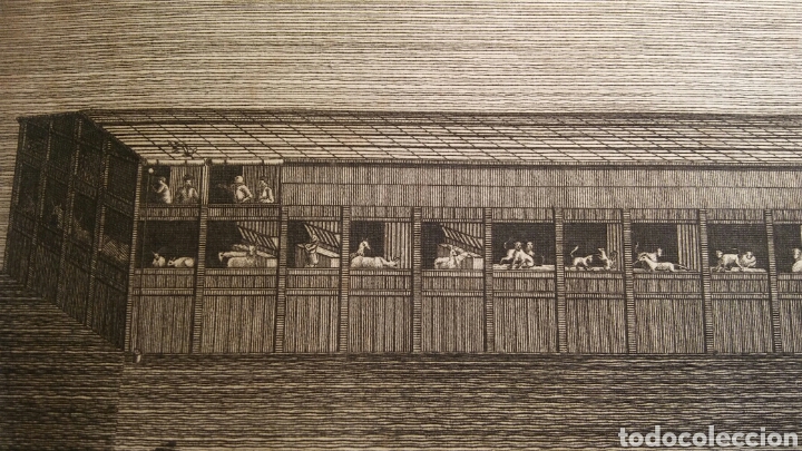 Arte: * Noahs Ark (Arca de Noa) - grabado lamina 1810 - Foto 2
