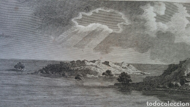 Arte: * Noahs Ark (Arca de Noa) - grabado lamina 1810 - Foto 6