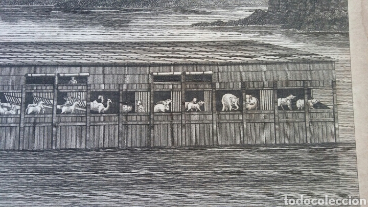 Arte: * Noahs Ark (Arca de Noa) - grabado lamina 1810 - Foto 7