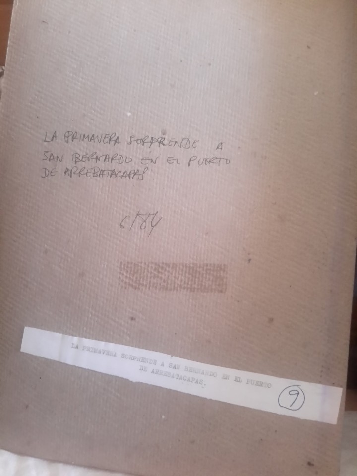 Arte: Collage de grabados del sigloXIX - Foto 3
