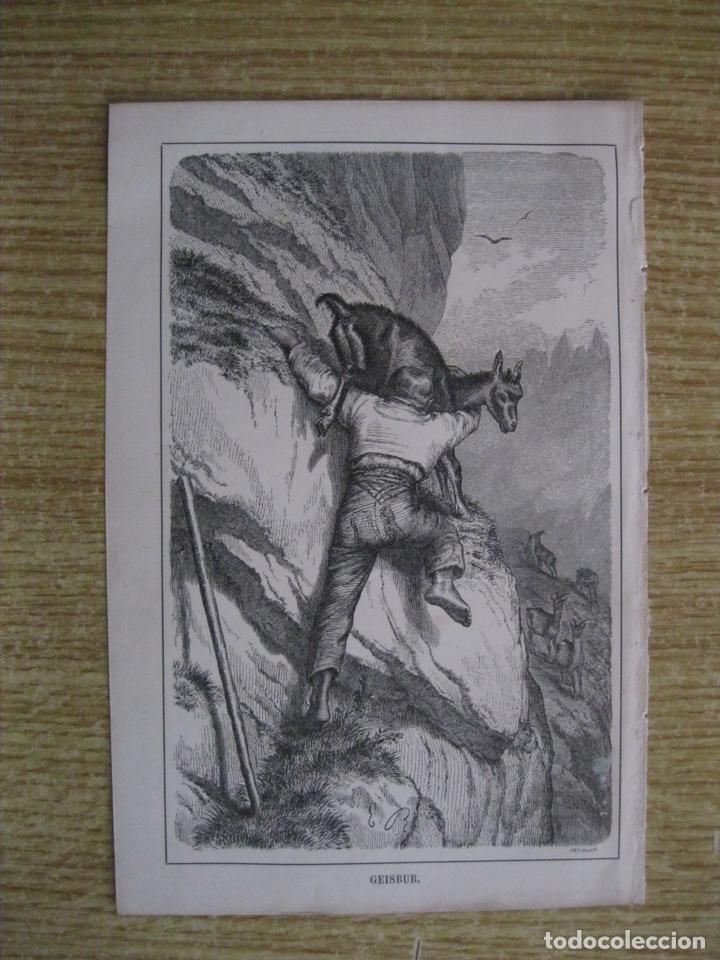 Arte: Pastor rescatando a una cabra, 1862.