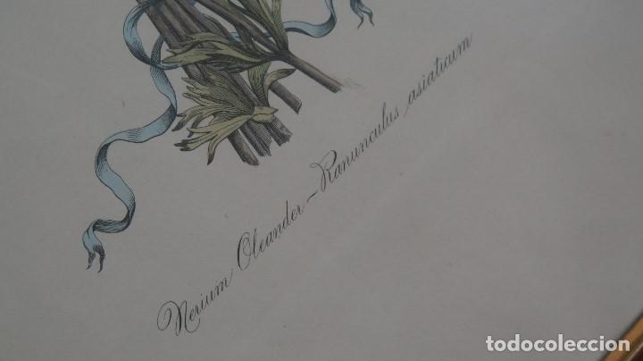 Arte: GRABADO COLOREADO PLATA NERIUM OLEANDER - Foto 3
