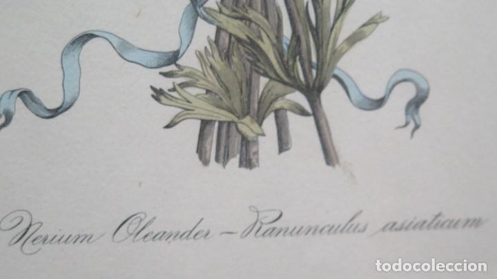 Arte: GRABADO COLOREADO PLATA NERIUM OLEANDER - Foto 5