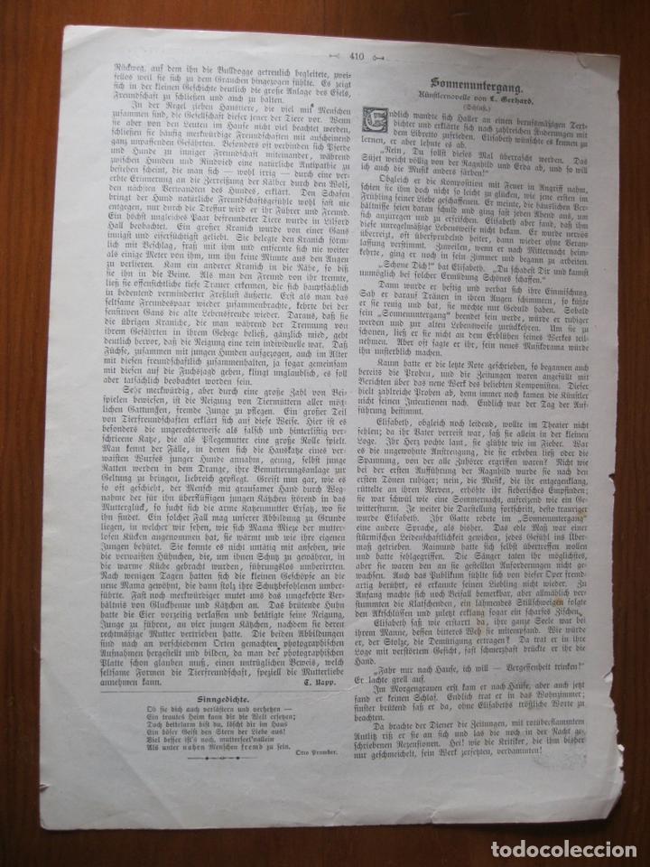 Arte: En el despacho del notario, 1903. An&oacute;nimo - Foto 2
