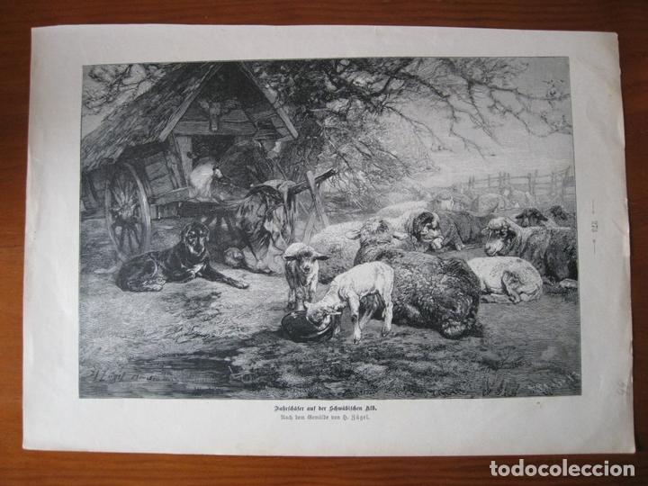 Arte: El pastor y su reba&ntilde;o, 1899. An&oacute;nimo