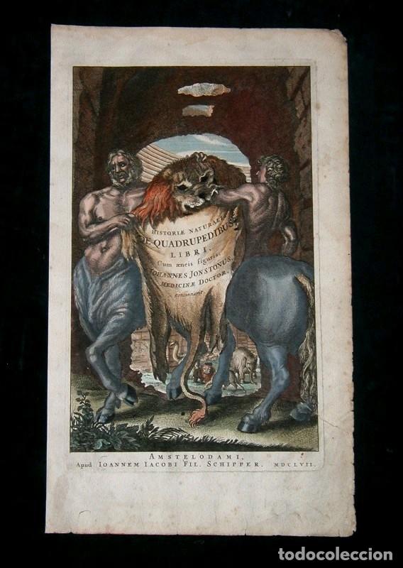 Arte: Frontispicio de la obra Historiae Naturalis, 1657. M. Merian - Foto 1