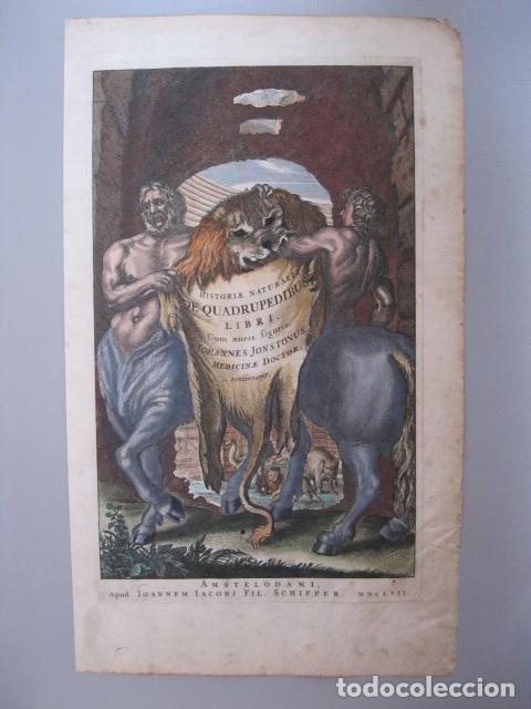 Arte: Frontispicio de la obra Historiae Naturalis, 1657. M. Merian - Foto 2