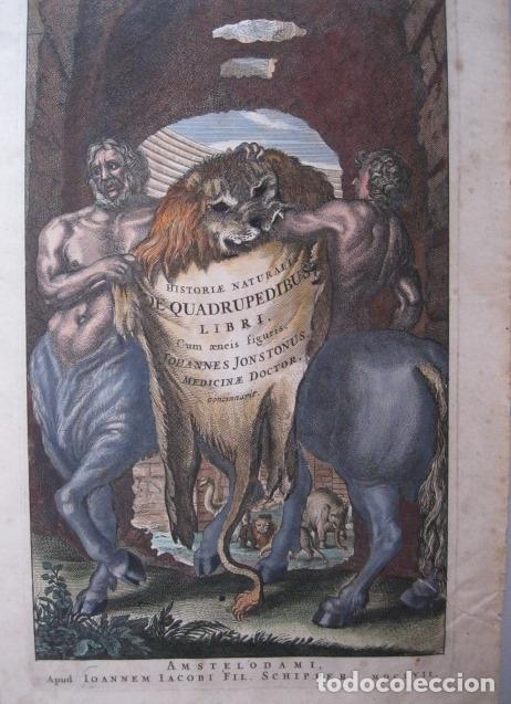 Arte: Frontispicio de la obra Historiae Naturalis, 1657. M. Merian - Foto 3