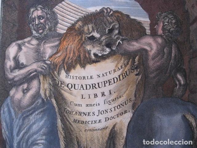 Arte: Frontispicio de la obra Historiae Naturalis, 1657. M. Merian - Foto 4