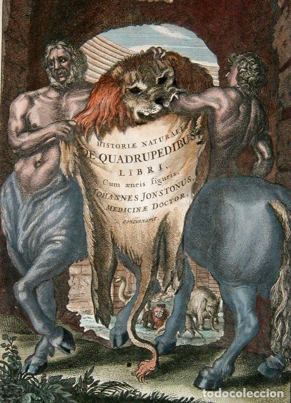 Arte: Frontispicio de la obra Historiae Naturalis, 1657. M. Merian - Foto 5