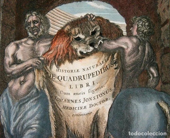 Arte: Frontispicio de la obra Historiae Naturalis, 1657. M. Merian - Foto 6